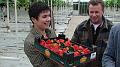 Elianny eerste veiling Fruitmasters Koningsplant john ard leon Vissers aardbeiplanten BV America (17)